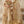 Baroque By SajhDajh - Zari Net   Embroidered Outfit with Net Dupatta - Ready to Wear SD425