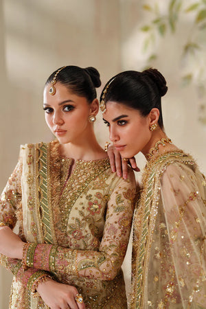 Baroque By SajhDajh - Zari Net   Embroidered Outfit with Net Dupatta - Ready to Wear SD425
