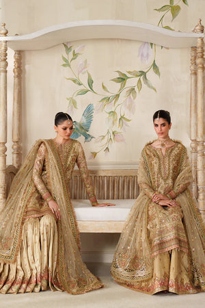 Baroque By SajhDajh - Zari Net   Embroidered Outfit with Net Dupatta - Ready to Wear SD425