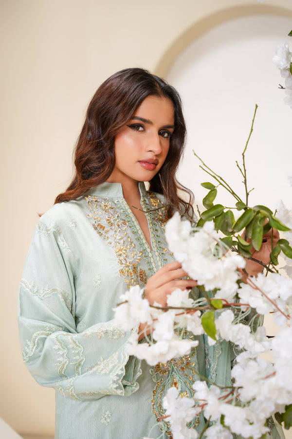 Tehwar - Luxury Organza Outfit - Festive Collection - Ready to Wear - Eid25 - TehV6D6