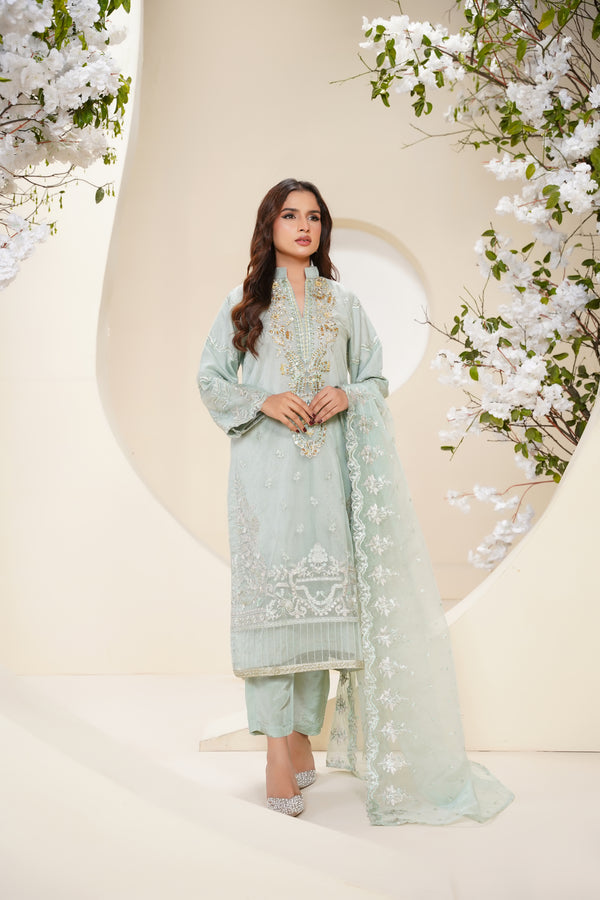 Tehwar - Luxury Organza Outfit - Festive Collection - Ready to Wear - Eid25 - TehV6D6