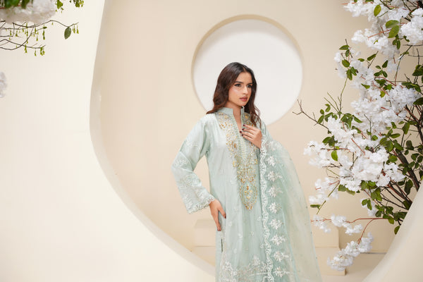 Tehwar - Luxury Organza Outfit - Festive Collection - Ready to Wear - Eid25 - TehV6D6