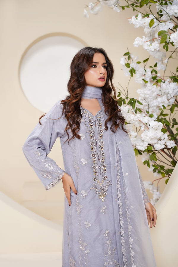Tehwar - Luxury Organza Outfit - Festive Collection - Ready to Wear - V6 - D4 - Eid25 - 04