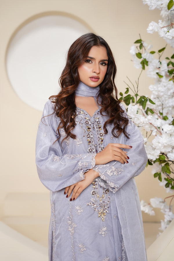 Tehwar - Luxury Organza Outfit - Festive Collection - Ready to Wear - V6 - D4 - Eid25 - 04