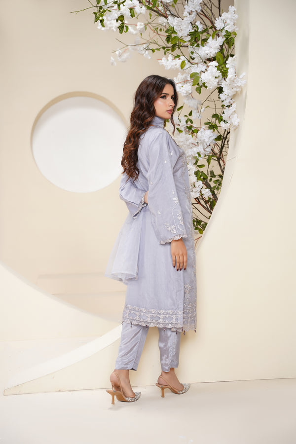 Tehwar - Luxury Organza Outfit - Festive Collection - Ready to Wear - V6 - D4 - Eid25 - 04