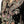 Load image into Gallery viewer, Rozi - Luxury Velvet Outfit with Embroidered Velvet Shawl

