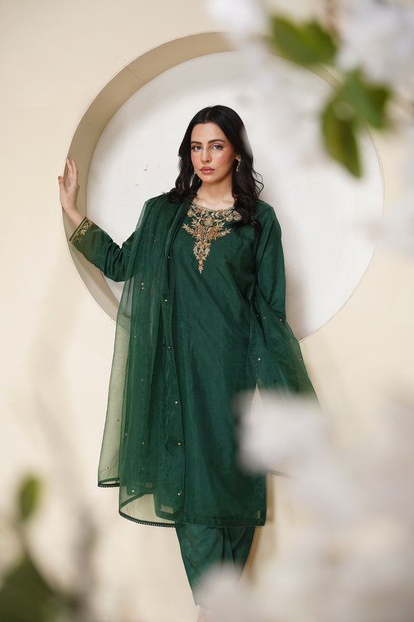Khaas - Luxury Organza Outfit - Hand Work - Ready to Wear Tehv10d4