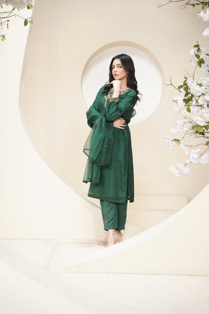 Khaas - Luxury Organza Outfit - Hand Work - Ready to Wear Tehv10d4 -SD