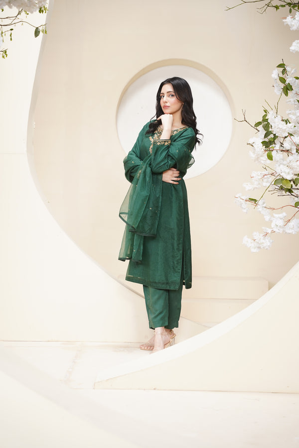 Khaas - Luxury Organza Outfit - Hand Work - Ready to Wear Tehv10d4