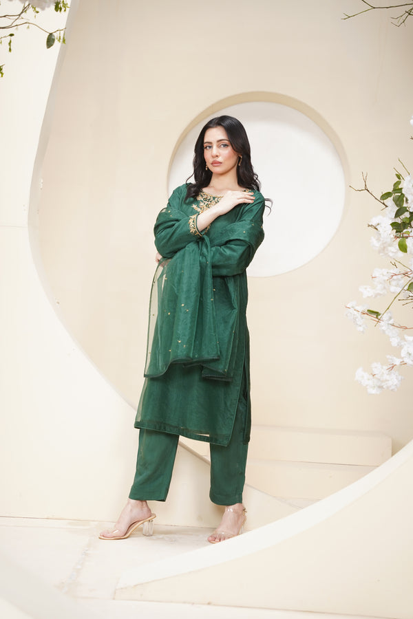 Khaas - Luxury Organza Outfit - Hand Work - Ready to Wear Tehv10d4