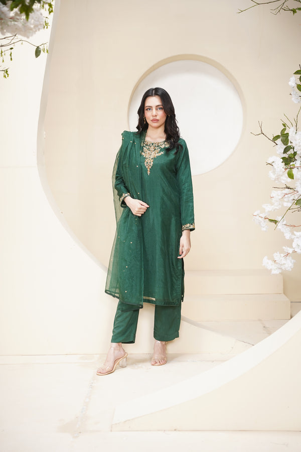 Khaas - Luxury Organza Outfit - Hand Work - Ready to Wear Tehv10d4