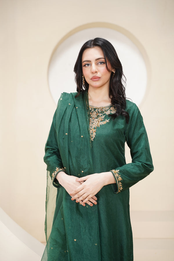 Khaas - Luxury Organza Outfit - Hand Work - Ready to Wear Tehv10d4