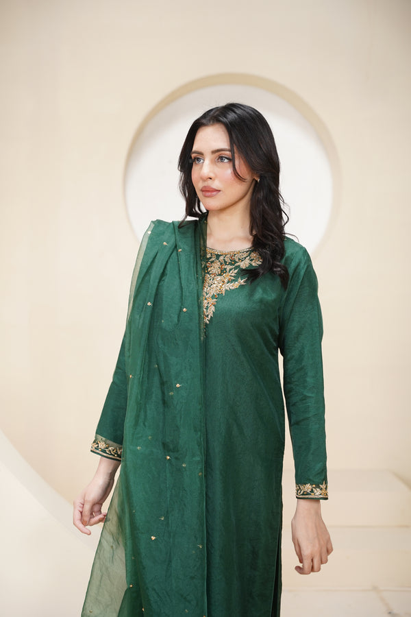 Khaas - Luxury Organza Outfit - Hand Work - Ready to Wear Tehv10d4