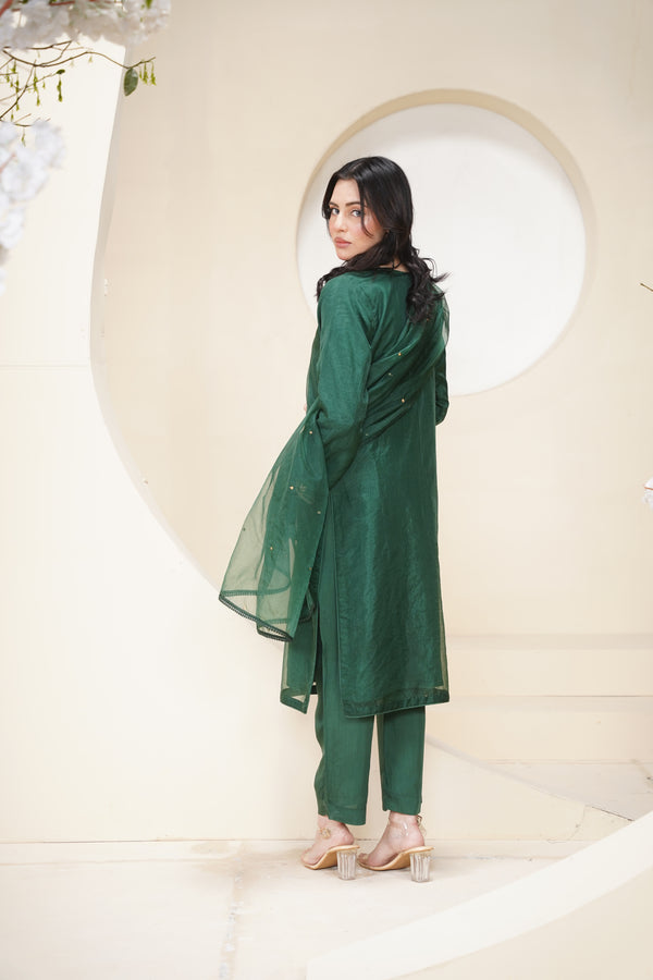 Khaas - Luxury Organza Outfit - Hand Work - Ready to Wear Tehv10d4