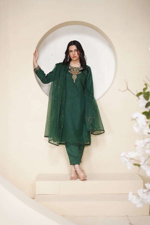 Khaas - Luxury Organza Outfit - Hand Work - Ready to Wear Tehv10d4