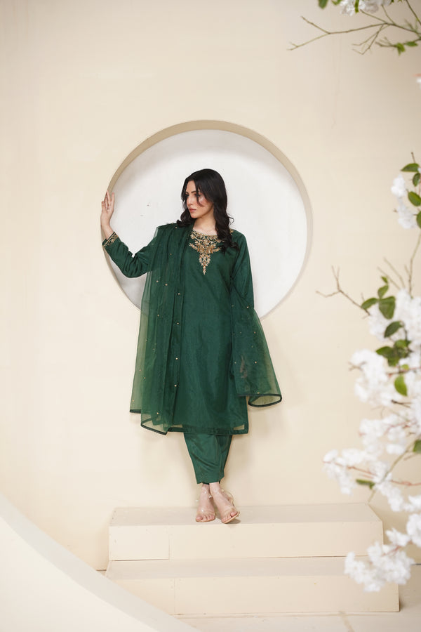 Khaas - Luxury Organza Outfit - Hand Work - Ready to Wear Tehv10d4