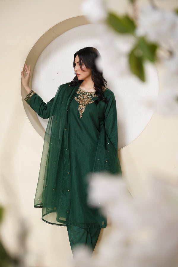 Khaas - Luxury Organza Outfit - Hand Work - Ready to Wear Tehv10d4