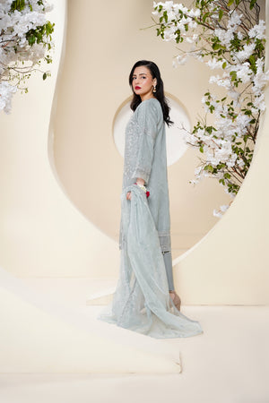 Tehwar - Luxury Organza Outfit - Festive Collection - Ready to Wear - Eid25 - TEHV7D4-SD
