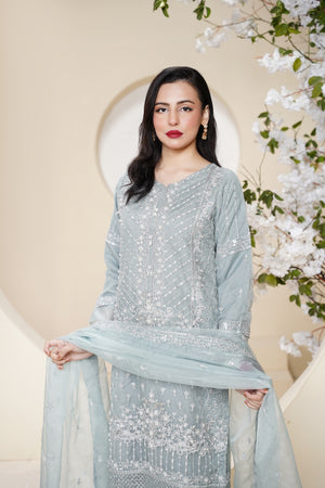 Tehwar - Luxury Organza Outfit - Festive Collection - Ready to Wear - Eid25 - TEHV7D4-SD