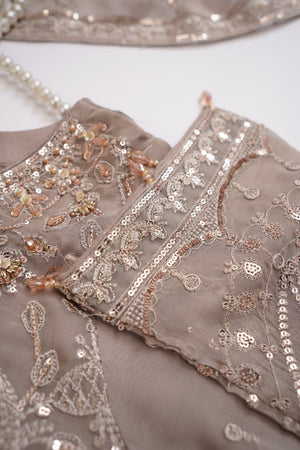 Husan e Jahan - Luxury Festive Collection - Ready to Wear - V2 - D6-SB