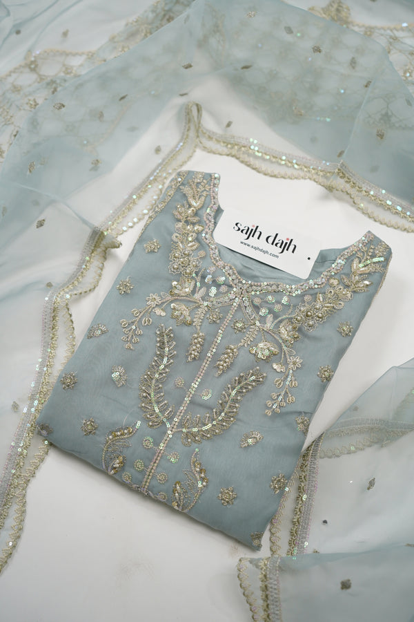 Tehwar - Luxury Organza Outfit - Festive Collection - Ready to Wear - TEHV8D5