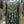 Load image into Gallery viewer, Tehwar- Luxury Organza Maxi Outfit with organza Dupatta-Ready To Wear TehV8D1
