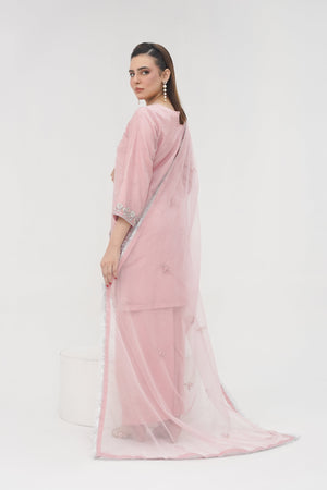 Khaas - Luxury Organza Outfit - Hand Work - Ready to Wear - Tehv10d4