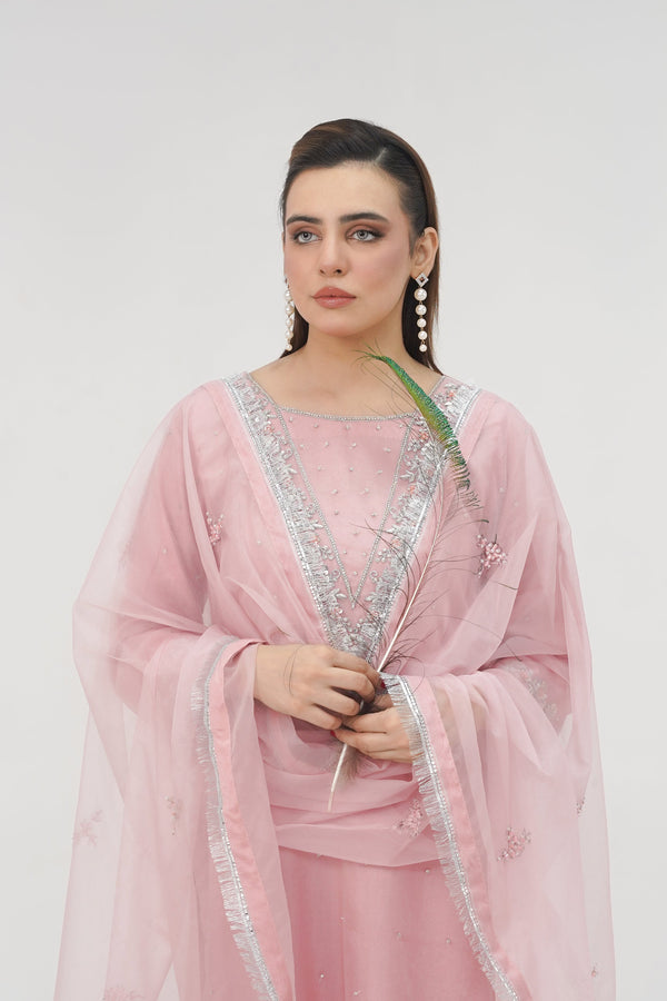 Khaas - Luxury Organza Outfit - Hand Work - Ready to Wear - Tehv10d4