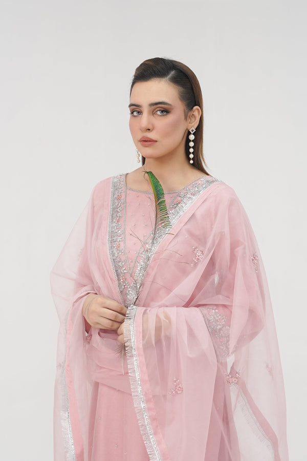 Khaas - Luxury Organza Outfit - Hand Work - Ready to Wear - Tehv10d4