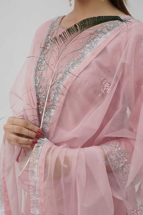 Khaas - Luxury Organza Outfit - Hand Work - Ready to Wear - Tehv10d4