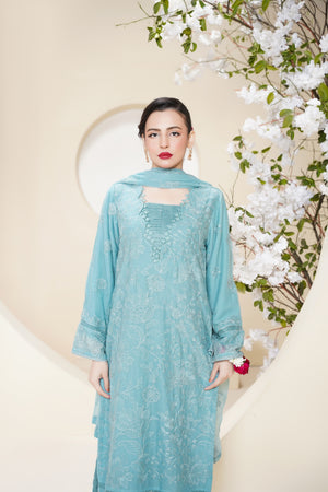 Husan e Jahan - Luxury Chiffon Outfit with Chiffon Dupatta - Ready to Wear - V2 - Eid25 - 08 - HEJFeroziV208