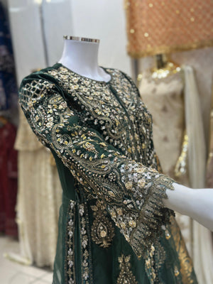 Tehwar- Luxury Organza Maxi Outfit with organza Dupatta-Ready To Wear TehV8D1