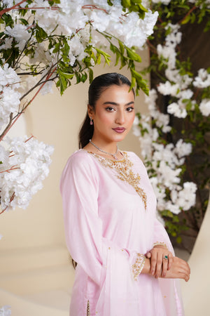 Khaas - Luxury Organza Outfit - Hand Work - Ready to Wear - Eid25 - TEHV7D6
