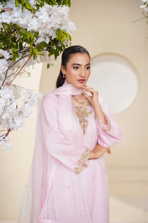 Khaas - Luxury Organza Outfit - Hand Work - Ready to Wear - Eid25 - TEHV7D6