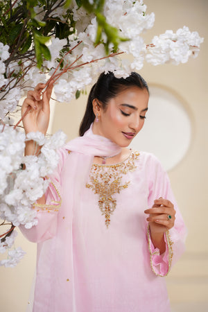 Khaas - Luxury Organza Outfit - Hand Work - Ready to Wear - Eid25 - TEHV7D6