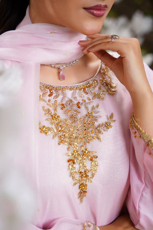 Khaas - Luxury Organza Outfit - Hand Work - Ready to Wear - Eid25 - TEHV7D6
