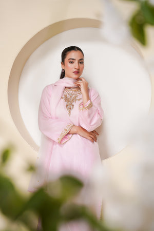 Khaas - Luxury Organza Outfit - Hand Work - Ready to Wear - Eid25 - TEHV7D6