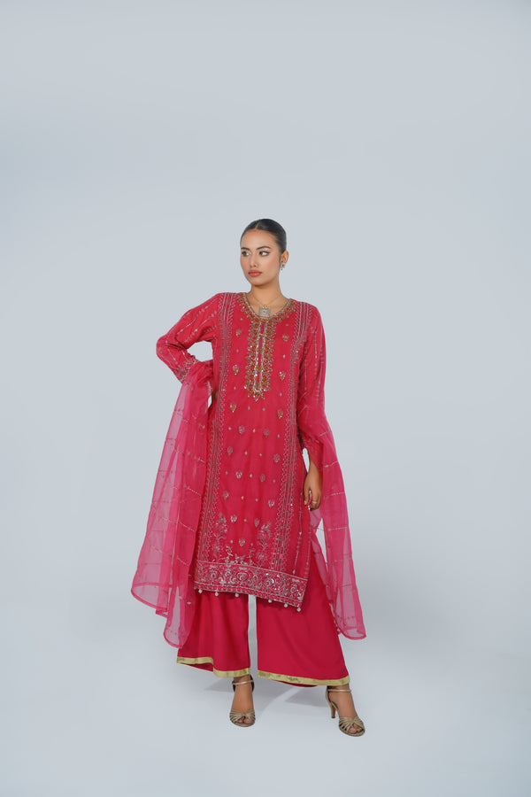 Tehwar - Luxury Organza Outfit - Festive Collection - Ready to Wear - V5 - D7 - Eid25 - 07