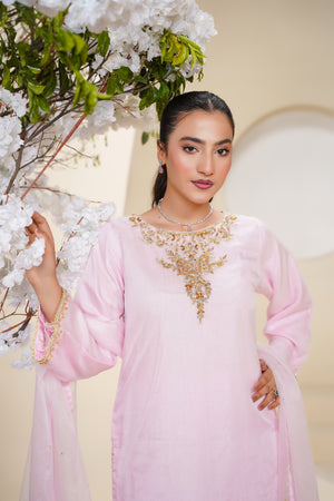 Khaas - Luxury Organza Outfit - Hand Work - Ready to Wear - Eid25 - TEHV7D6
