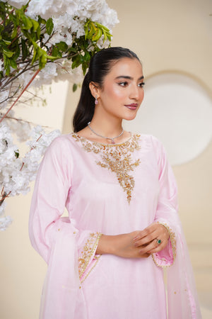 Khaas - Luxury Organza Outfit - Hand Work - Ready to Wear - Eid25 - TEHV7D6