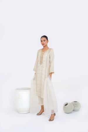 Tehwar - Luxury Organza Outfit - Festive Collection - Ready to Wear - Eid25 - TEHV4D3 -SD