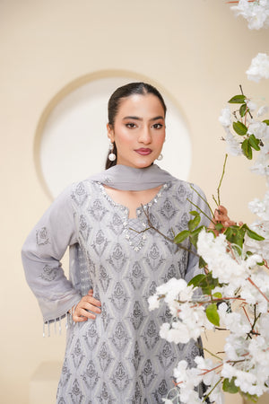 Husan e Jahan - Luxury Chiffon Outfit with Chiffon Dupatta - Ready to Wear - Eid25 - HEJGreyV3D2