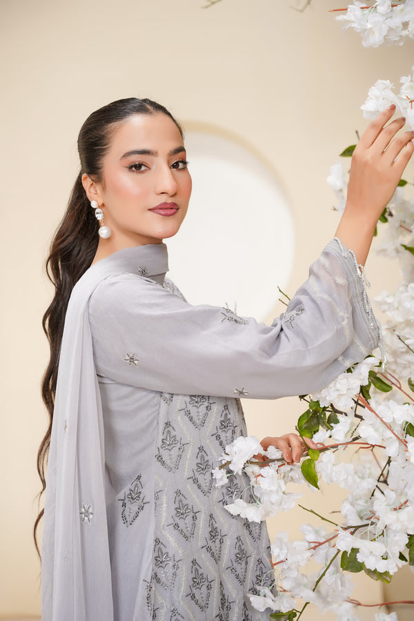 Husan e Jahan - Luxury Chiffon Outfit with Chiffon Dupatta - Ready to Wear - Eid25 - HEJGreyV3D2