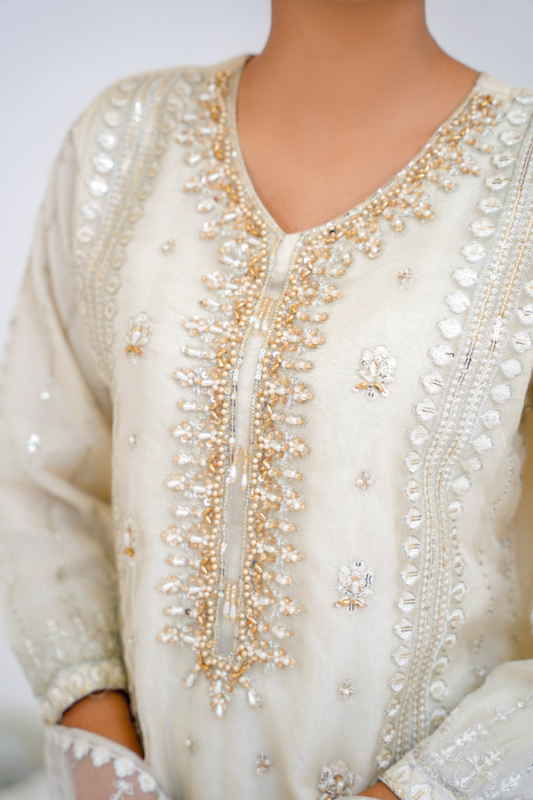 Tehwar - Luxury Festive Collection - Ready to Wear - Tehv9d3