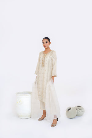 Tehwar - Luxury Festive Collection - Ready to Wear - Tehv10d6