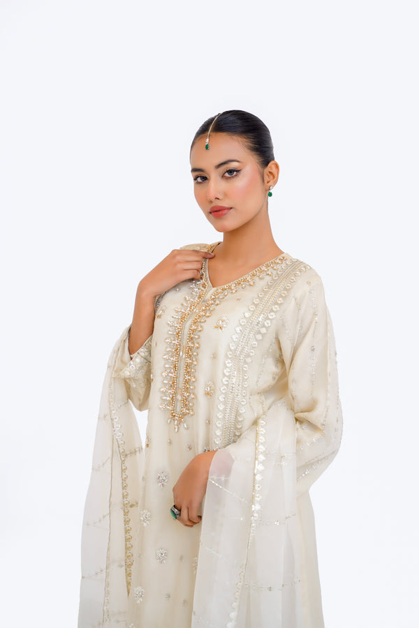 Tehwar - Luxury Festive Collection - Ready to Wear - Tehv9d3