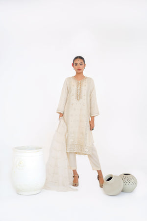 Tehwar - Luxury Festive Collection - Ready to Wear - Tehv10d6