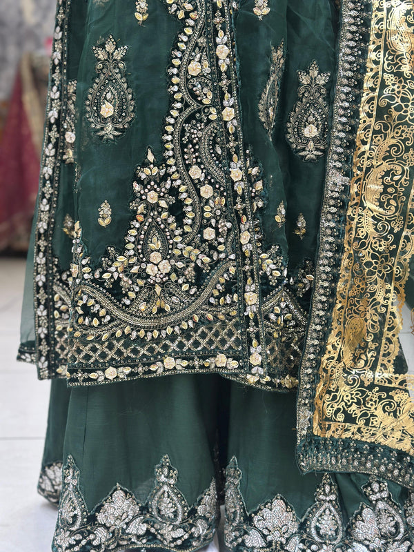 Tehwar- Luxury Organza Maxi Outfit with organza Dupatta-Ready To Wear TehV8D1