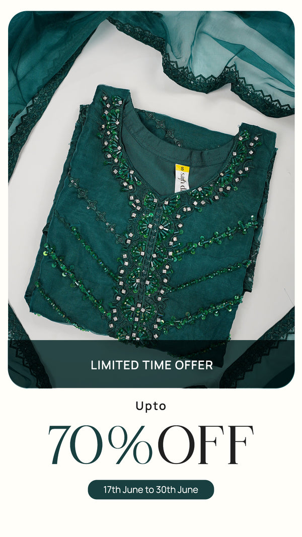 Tehwar - Luxury Organza Outfit - Festive Collection - Ready to Wear - V3 - D9