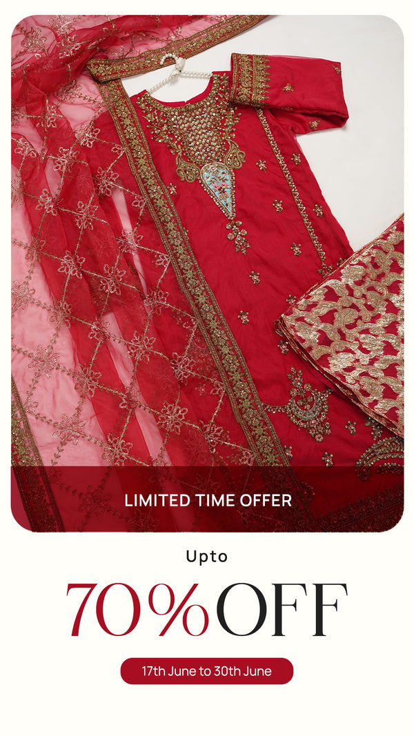 Tehwar - Luxury Organza Outfit - Festive Collection - Ready to Wear - V4 - D4 - Eid25-04